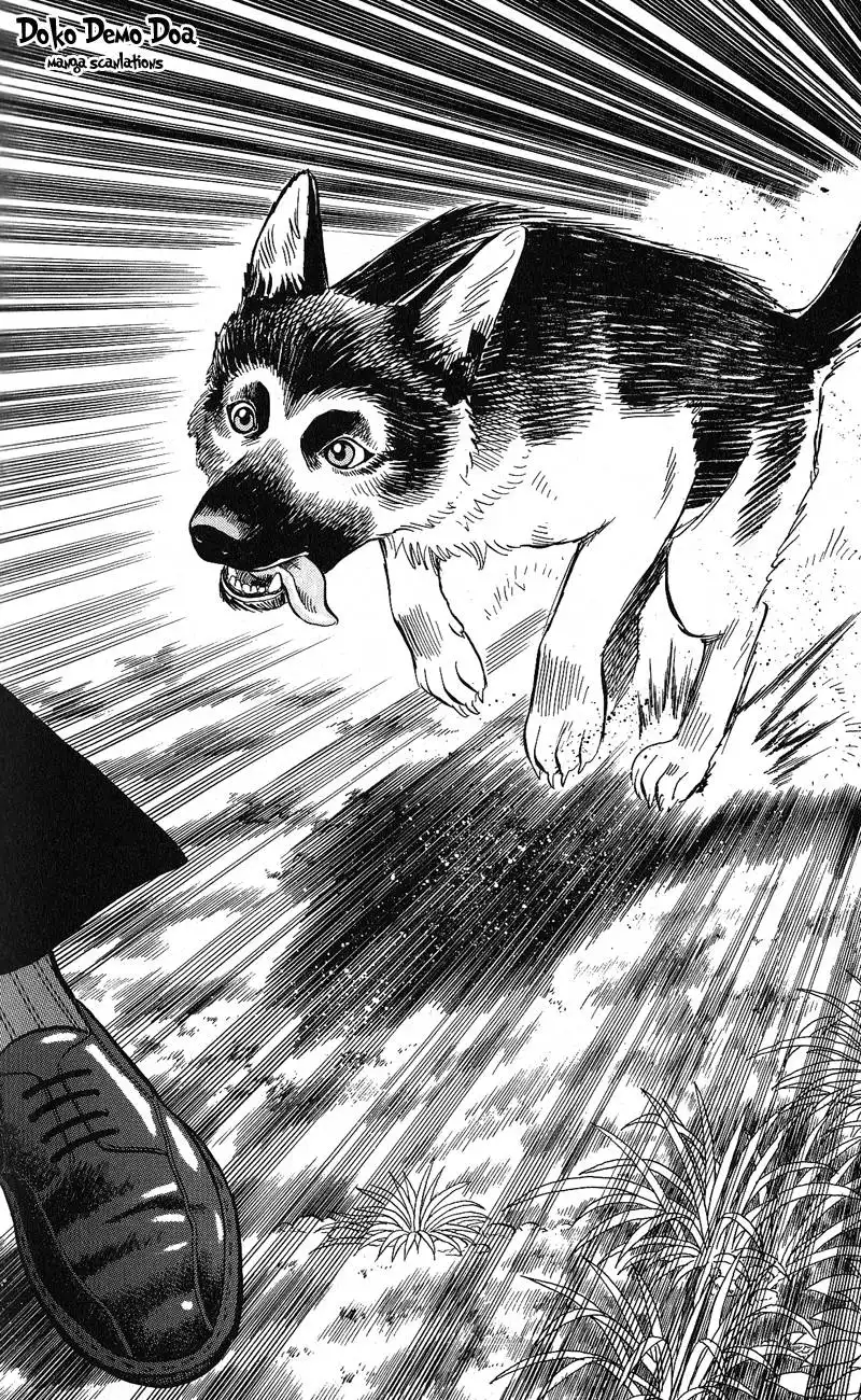 Animal Sense Chapter 12 29